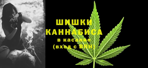 мдпв Семёнов