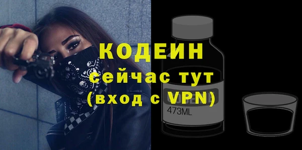 мдпв Семёнов