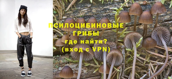винт Абаза