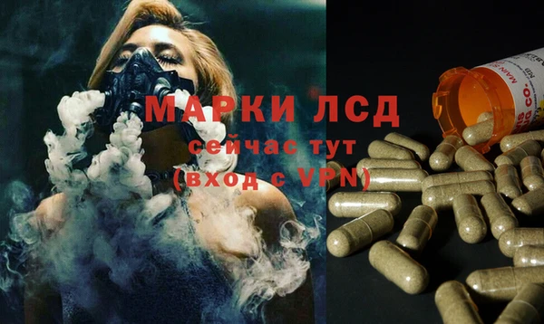 винт Абаза