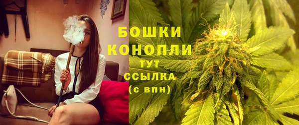 мдпв Семёнов