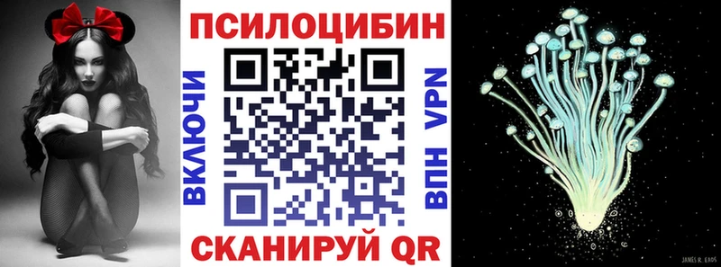 Галлюциногенные грибы Psilocybine cubensis Кедровый